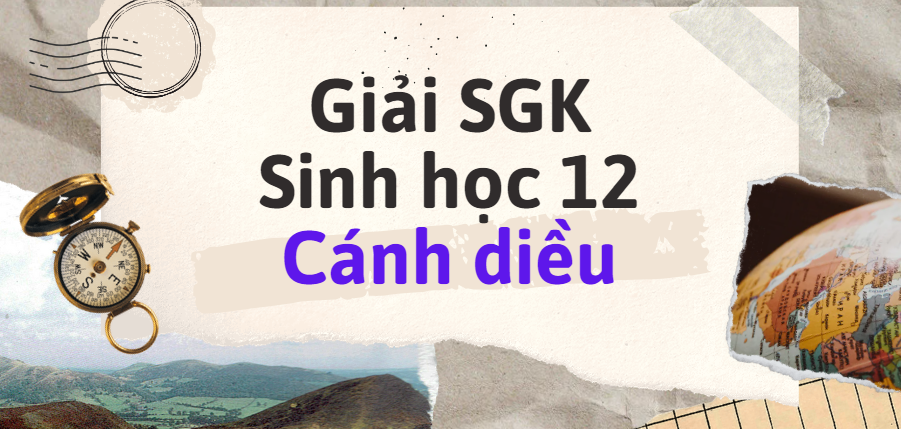 Giải SGK Sinh học 12 (Cánh diều) Bài 4: Đột biến gene