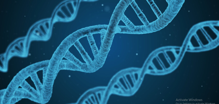 Xét nghiệm ADN là gì? Mục đích và kết quả