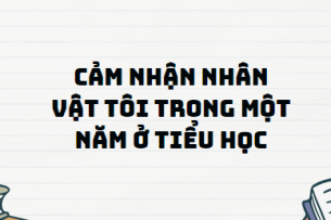 TOP 13 Đoạn văn Cảm nhận nhân vật tôi trong Một năm ở tiểu học (2024) SIÊU HAY