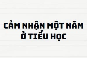 TOP 13 Đoạn văn Cảm nhận Một năm ở Tiểu học (2024) SIÊU HAY