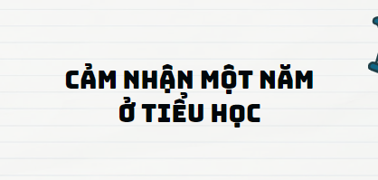 TOP 13 Đoạn văn Cảm nhận Một năm ở Tiểu học (2024) SIÊU HAY