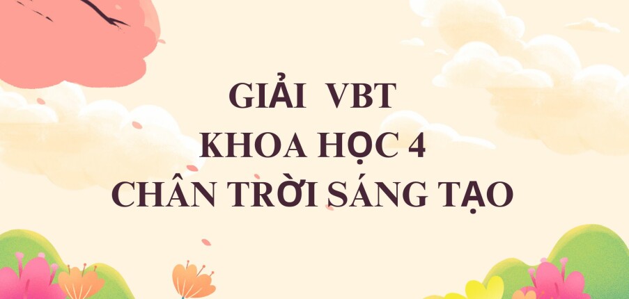 Giải Vở bài tập Khoa học lớp 4 Bài 32 (Chân trời sáng tạo): Ôn tập chủ đề Sinh vật và môi trường