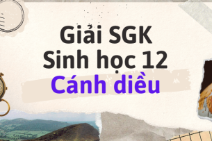 Giải SGK Sinh học 12 (Cánh diều) Bài 11: Hệ gene, công nghệ gene và ứng dụng