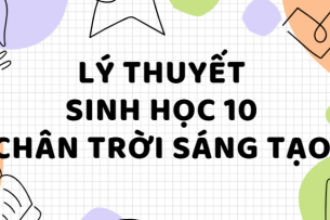 Lý thuyết Sinh học 10 Bài 27: Ứng dụng vi sinh vật trong thực tiễn (Chân trời sáng tạo)