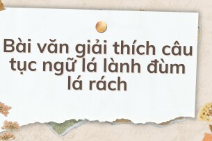 TOP 10 Bài văn giải thích câu tục ngữ lá lành đùm lá rách (2024) HAY NHẤT