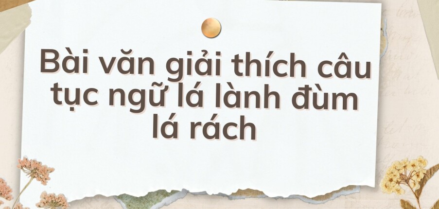 TOP 10 Bài văn giải thích câu tục ngữ lá lành đùm lá rách (2024) HAY NHẤT