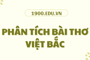 TOP 10 Bài phân tích bài thơ Việt Bắc (2024) SIÊU HAY