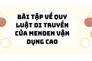 30 bài tập về quy luật di truyền của menden vận dụng cao (2024) có đáp án chi tiết nhất