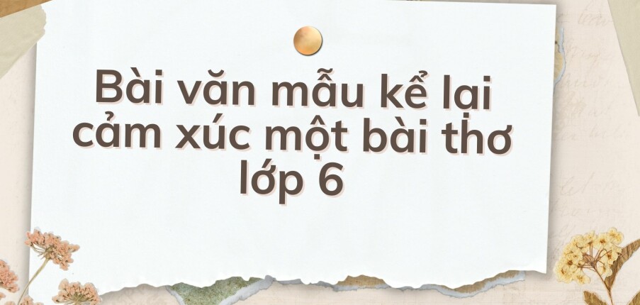 TOP 10 Bài văn mẫu kể lại cảm xúc một bài thơ lớp 6 (2024) HAY NHẤT