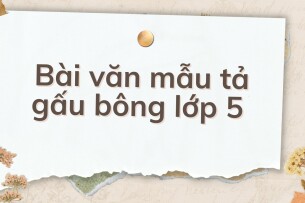 TOP 10 Bài văn mẫu tả gấu bông lớp 5 (2024) HAY NHẤT