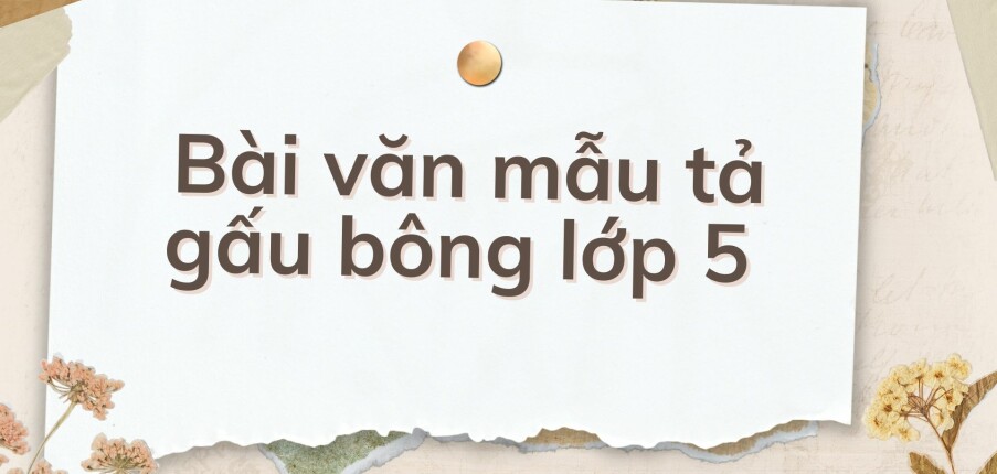 TOP 10 Bài văn mẫu tả gấu bông lớp 5 (2024) HAY NHẤT