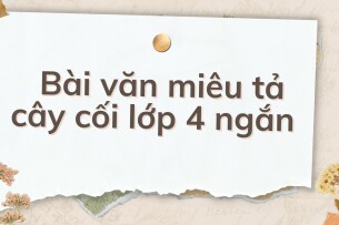 TOP 10 Bài văn miêu tả cây cối lớp 4 ngắn (2024) HAY NHẤT