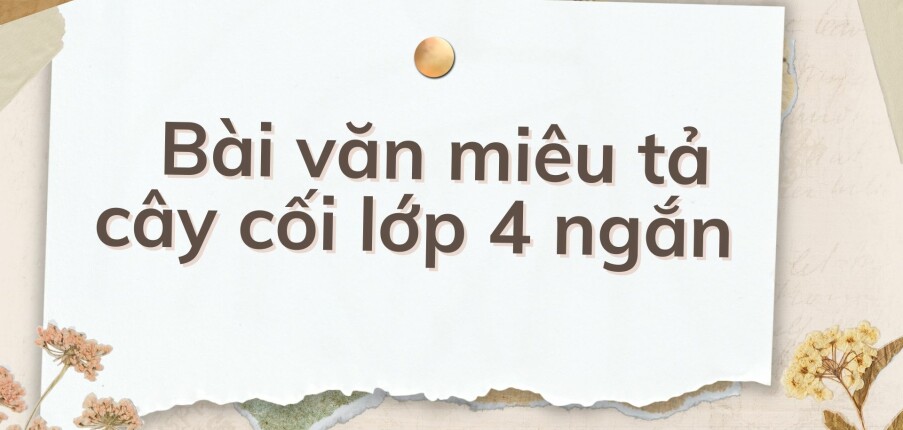 TOP 10 Bài văn miêu tả cây cối lớp 4 ngắn (2024) HAY NHẤT