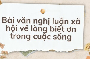 TOP 10 (2024) Bài văn nghị luận xã hội về lòng biết ơn trong cuộc sống HAY NHẤT