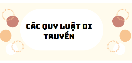 30 Bài tập các quy luật di truyền 2024 (có đáp án)