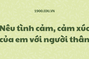 TOP 10 Viết đoạn văn nêu tình cảm, cảm xúc của em với người thân (2024) SIÊU HAY