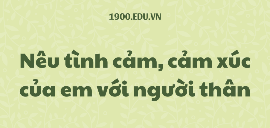 TOP 10 Viết đoạn văn nêu tình cảm, cảm xúc của em với người thân (2024) SIÊU HAY