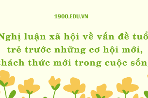 TOP 10 Bài nghị luận xã hội về vấn đề tuổi trẻ trước những cơ hội mới, thách thức mới trong cuộc sống (2024) HAY NHẤT