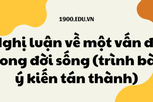 TOP 10 Bài văn nghị luận về một vấn đề trong đời sống (trình bày ý kiến tán thành) (2024) SIÊU HAY