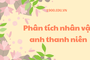 TOP 10 Bài phân tích nhân vật anh thanh niên (2024) SIÊU HAY