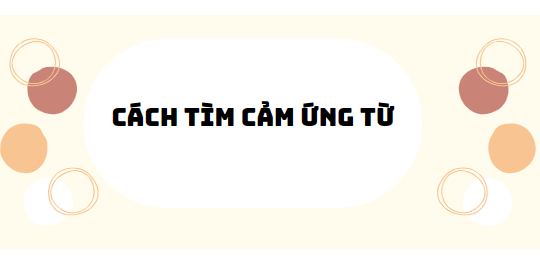 30 bài tập cách tìm cảm ứng từ (2024) có đáp án