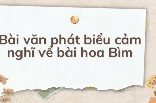 TOP 10 Bài văn phát biểu cảm nghĩ về bài hoa Bìm  (2024) HAY NHẤT