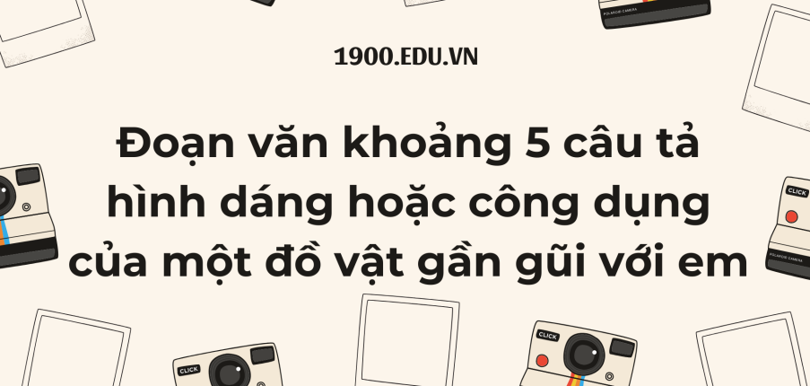 TOP 10 Viết một đoạn văn khoảng 5 câu tả hình dáng hoặc công dụng của một đồ vật gần gũi với em (2024) SIÊU HAY