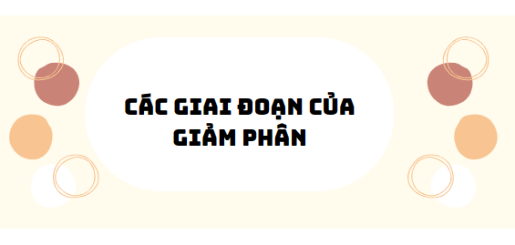 30 bài tập các giai đoạn của giảm phân 2024 (có đáp án)