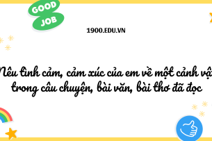 TOP 10 Đoạn văn nêu tình cảm, cảm xúc của em về một cảnh vật trong câu chuyện, bài văn, bài thơ đã đọc (2024) SIÊU HAY