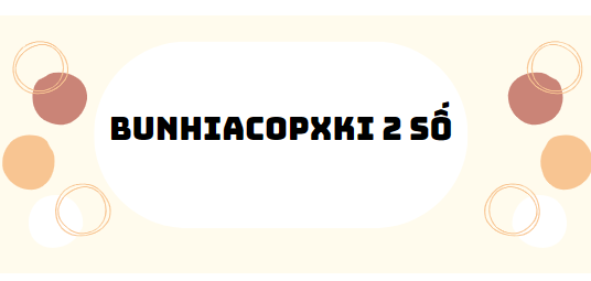 30 bài tập bunhiacopxki 2 số 2024 (có đáp án)