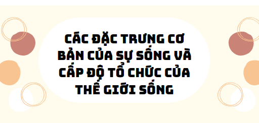 30 bài tập các đặc trưng cơ bản của sự sống và cấp độ tổ chức của thế giới sống 2024 (có đáp án)