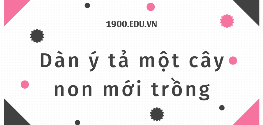 TOP 10 Dàn ý tả một cây non mới trồng (2024) SIÊU HAY