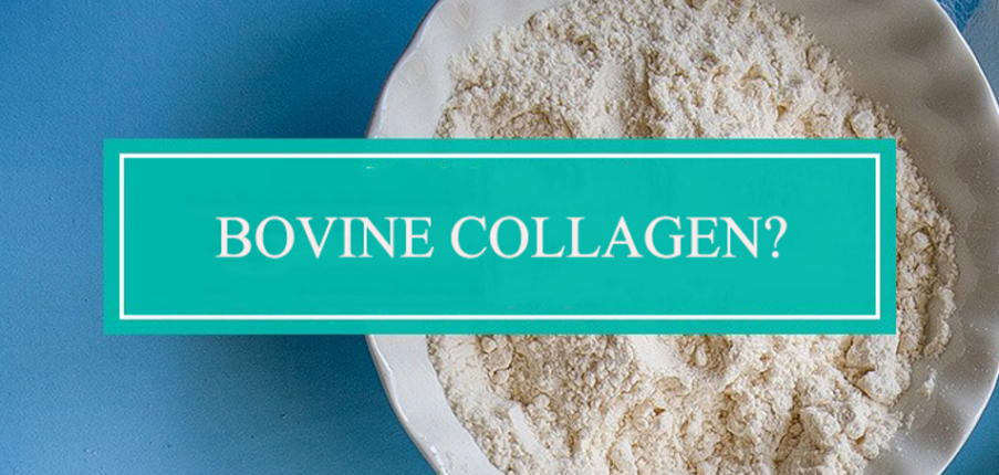 Bovine Collagen là gì và nó có lợi ích như thế nào?