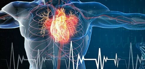 Suy tim sung huyết (CHF) và những điều cần biết