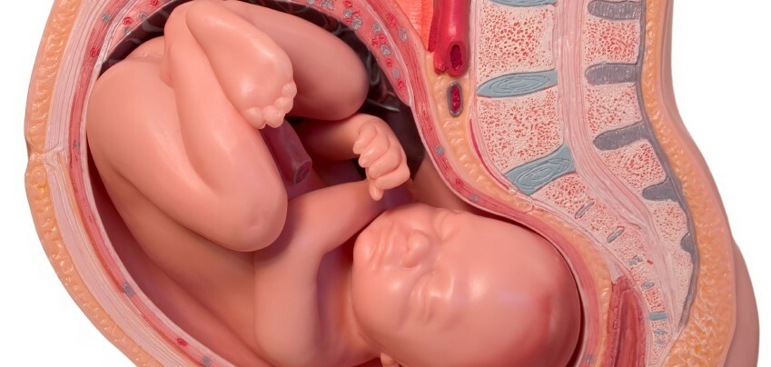Ngôi thai trong tử cung: Tất cả những điều cần biết