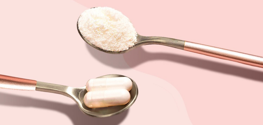 Collagen hay Gelatin giống và khác nhau như thế nào?