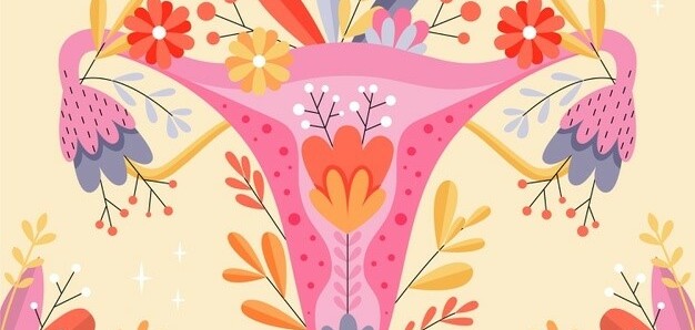 Niêm mạc tử cung: Sinh lý, độ dày và các bệnh lý thường gặp