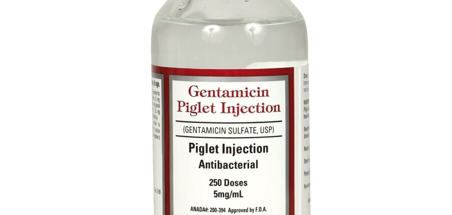 Gentamicin: Công dụng, cách dùng và những lưu ý