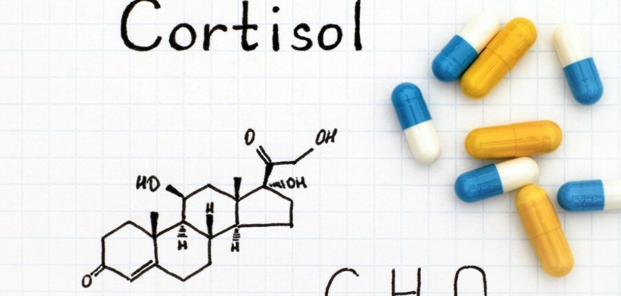 Cortisol là gì? Những thông tin về cortisol