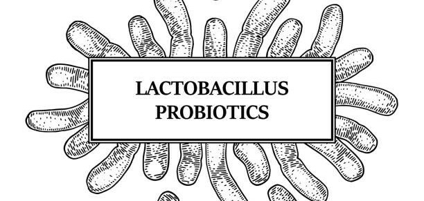 Lactobacillus là gì? Cách dùng và những lưu ý.