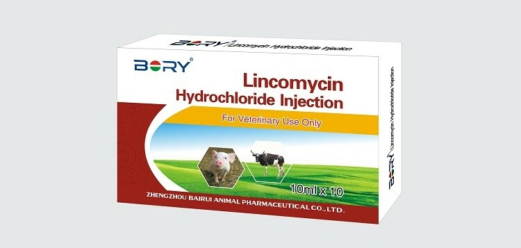 Thuốc Lincomycin - Điều trị các nhiễm khuẩn nặng - Cách dùng