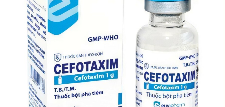Thuốc Cefotaxim - Điều trị nhiễm trùng do vi khuẩn - 1g - Cách dùng