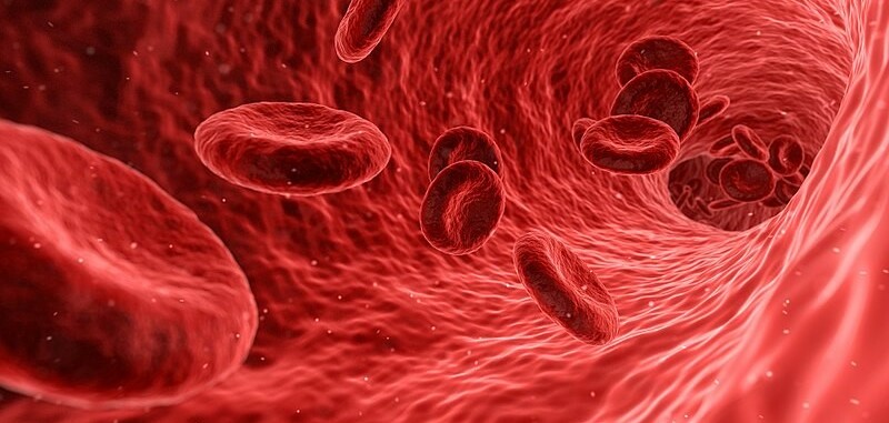 Tế bào hồng cầu: Giải phẫu, chức năng và các rối loạn thường gặp
