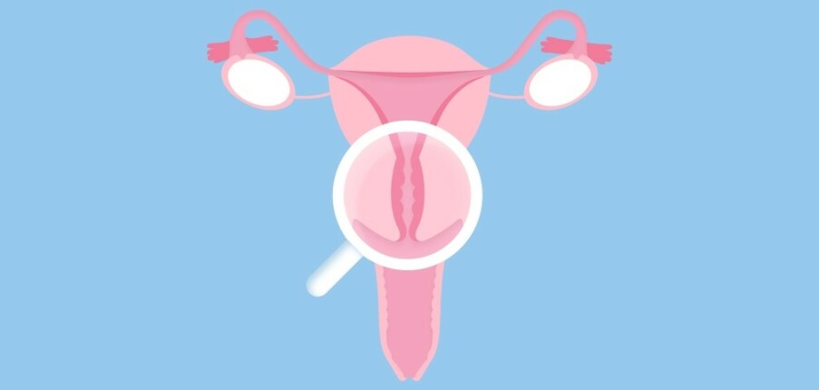 4 điều cần biết về cổ tử cung và sức khỏe sinh sản