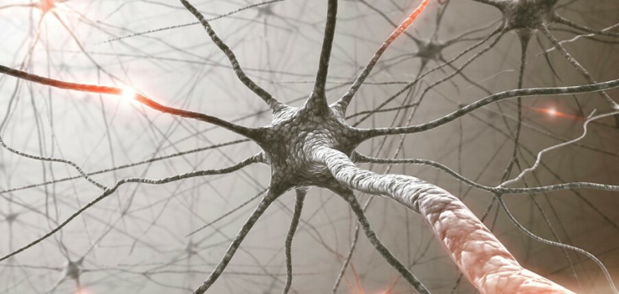 Bệnh lý thần kinh ngoại biên: Nguyên nhân, triệu chứng, chẩn đoán và điều trị