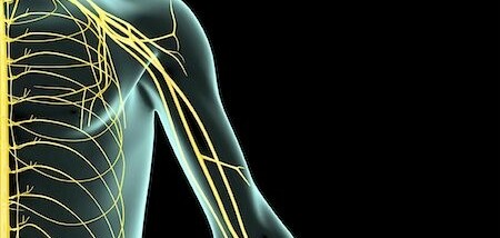 Đám rối thần kinh cánh tay: Giải phẫu, chức năng và tình trạng bệnh lý