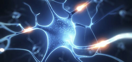 Bệnh viêm dây thần kinh ngoại biên: Phân loại, triệu chứng và phương pháp điều trị