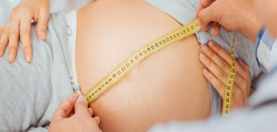 Biểu đồ chiều dài và cân nặng trung bình của thai nhi