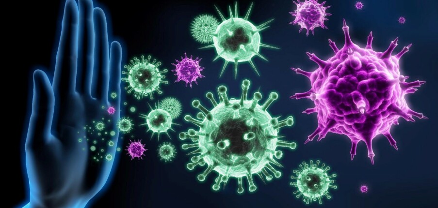 Hệ thống miễn dịch: Tế bào, mô, chức năng và bệnh lý