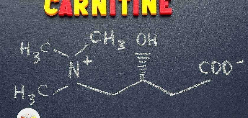 Carnitine: Nhu cầu, nguồn cung cấp, lợi ích và rủi ro sức khỏe
